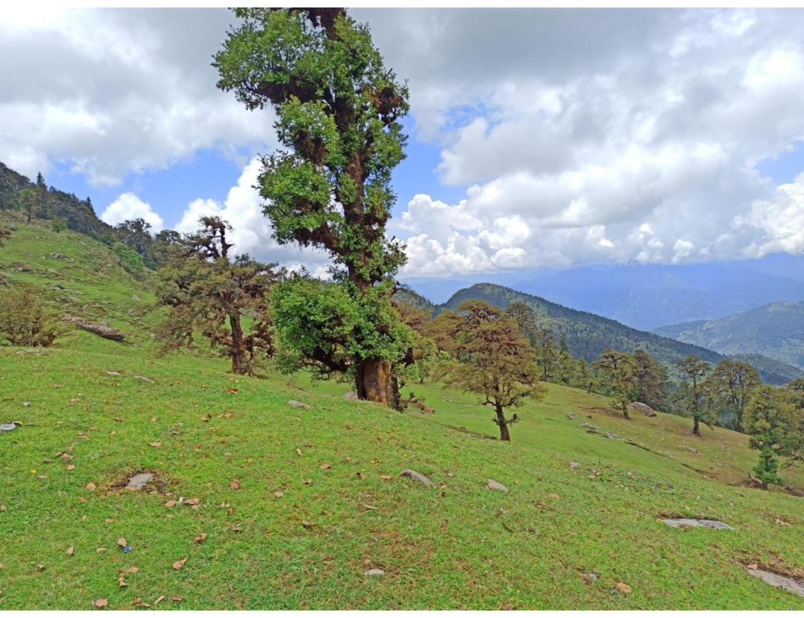 Chopta Wildlife Camps Resorts, Chopta Exterior foto